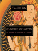 The_Pema_Ch__dr__n_Audio_Collection